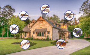 Pest Control Services by Green Side Up