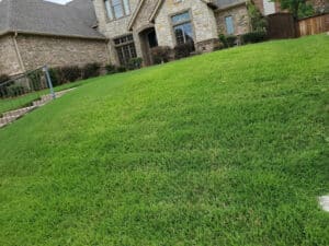 Pest Control Services by Green Top Lawn Care in Euless