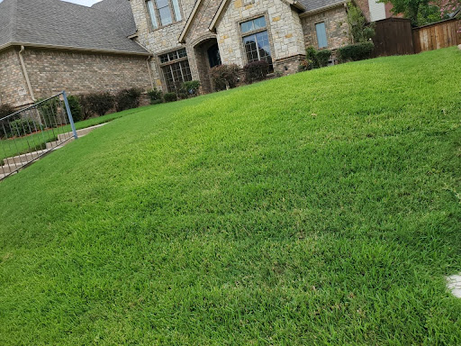 Green Top Lawn Care, Pest Control company in Euless Pest Control Services by Green Top Lawn Care in Euless, Texas