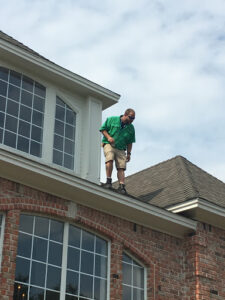 Pest Control Services by Greenworks Inspections & Engineering in Dallas