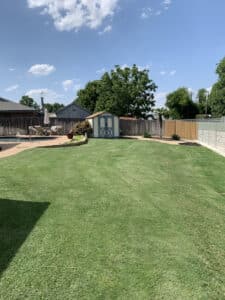 Pest Control Services by Gro Lawn in Fort Worth