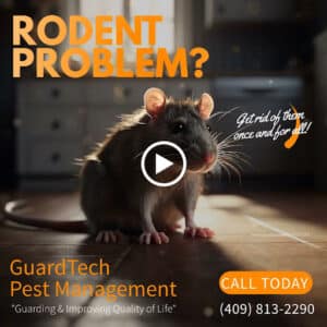 Pest Control Services by Guardtech Pest Management