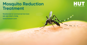 Pest Control Services by HUT Pest Control in Cypress