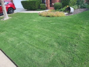 Pest Control Services by Hamann Weed Control & Exterior Pest Control in Arlington