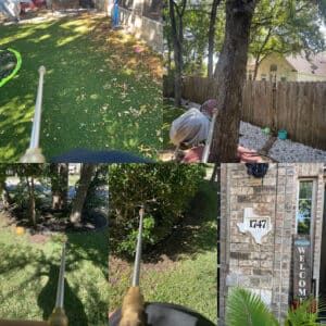 Pest Control Services by Hawx Pest Control in Austin