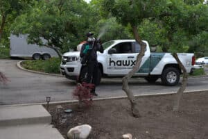 Pest Control Services by Hawx Pest Control in Haltom City