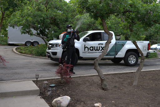 Pest Control Services by Hawx Pest Control in Haltom City, Texas
