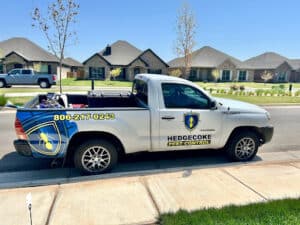 Pest Control Services by Hedgecoke Pest Control in Amarillo