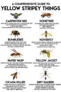 Pest Control Services by Hello Green Termite & Pest Solutions in Mont Belvieu