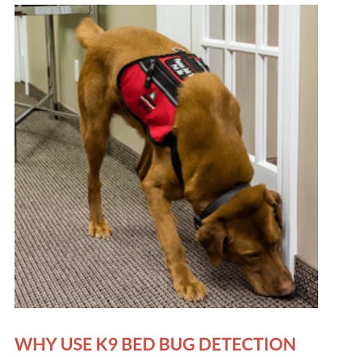 Pest Control Services by Hk Pest Control Service in Carrollton