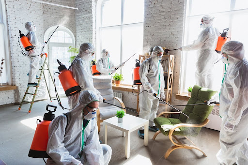 Pest Control Services by Home Pest Control Llc Mckinney in McKinney