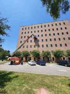 Pest Control Services by Houston Bat Removal in Houston