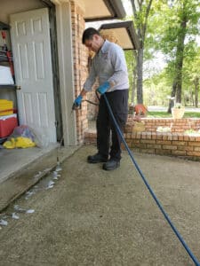Pest Control Services by Infestaway Pest Control in Palestine