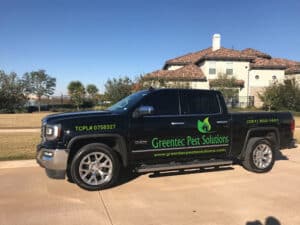 Pest Control Services by Insight Home And Commercial Services in Houston