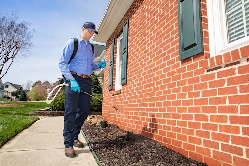 Pest Control Services by Insight Pest Solutions in San Antonio, Texas