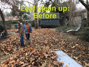 Pest Control Services by Integra Pest & Lawn in Crowley