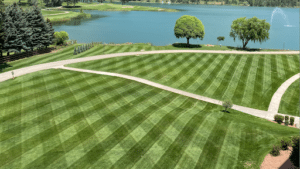 Pest Control Services by Integrity Lawn And Pest Control Llc in Willow Park