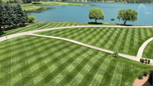 Integrity Lawn And Pest Control Llc, Pest Control company in Willow Park Pest Control Services by Integrity Lawn And Pest Control Llc in Willow Park, Texas
