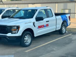 Pest Control Services by It'S Bugs Or Us Granbury