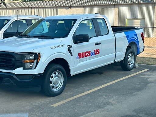Pest Control Services by It'S Bugs Or Us Granbury, Texas in Granbury, Texas