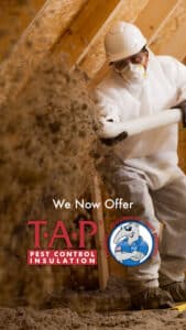 Pest Control Services by J&J Exterminating Tyler in Tyler