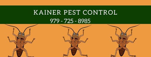 Pest Control Services by Kainer Pest Control in Weimar, Texas