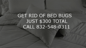 Pest Control Services by Kill Bed Bugs Houston in Katy
