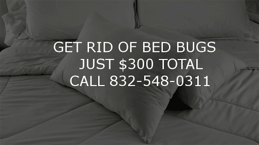 Kill Bed Bugs Houston, Pest Control company in Katy Pest Control Services by Kill Bed Bugs Houston in Katy, Texas