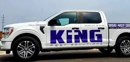 Pest Control Services by King Pest Solutions