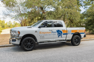 Pest Control Services by Kingsman Pest Exterminators in The Woodlands