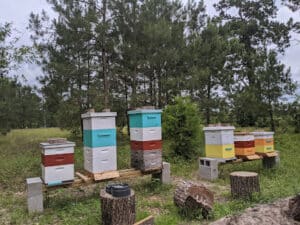 Pest Control Services by Lake Creek Chicks & Bee Removal in Montgomery