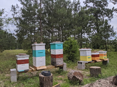 Pest Control Services by Lake Creek Chicks & Bee Removal in Montgomery