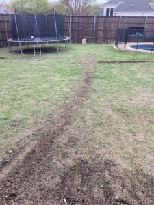 Pest Control Services by Lawn Sense in Plano