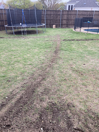 Pest Control Services by Lawn Sense in Plano