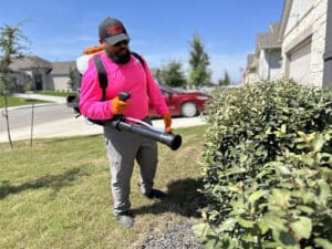 Pest Control Services by Lemonade Pest in New Braunfels