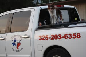 Pest Control Services by Lone Star Pest Control in Brownwood