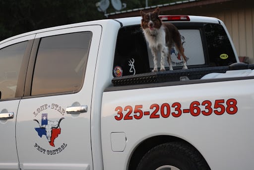 Lone Star Pest Control, Pest Control company in Brownwood Pest Control Services by Lone Star Pest Control in Brownwood, Texas