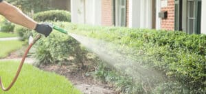Pest Control Services by Long Point Pest Control in Houston
