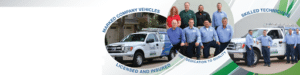 Pest Control Services by Markle Termite & Pest Management in Dallas