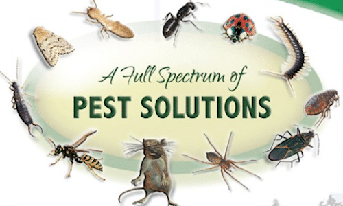 Mcclain Pest Control, Llc, Pest Control company in Kennard Pest Control Services by Mcclain Pest Control, Llc in Kennard, Texas