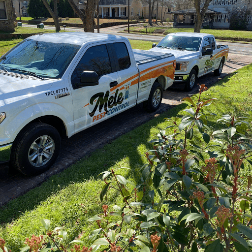Pest Control Services by Mele Pest Control in Henderson