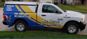 Pest Control Services by Mike Nelson Exterminating in Spring