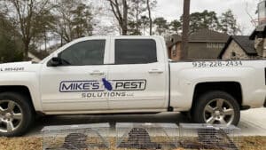 Pest Control Services by Mike'S Pest Solutions
