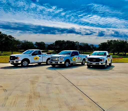 Pest Control Services by Monitor Pest Control in New Braunfels, Texas