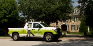 Pest Control Services by Mosquito Squad Of Fort Worth in Haltom City