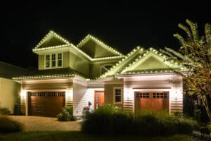 Pest Control Services by Mosquitonix Dallas in Dallas