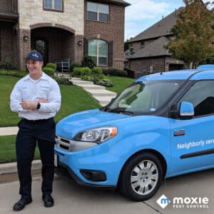 Pest Control Services by Moxie Pest Control in Houston