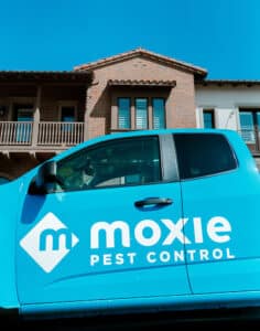 Pest Control Services by Moxie Pest Control in San Antonio