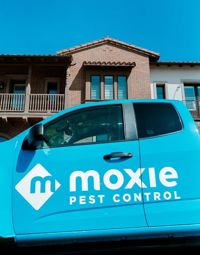 Pest Control Services by Moxie Pest Control in San Antonio