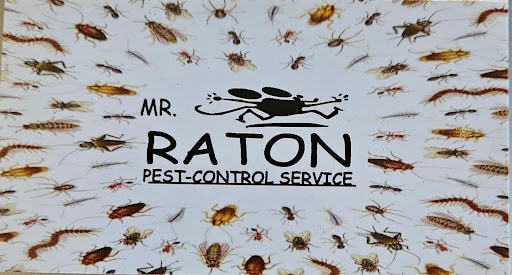 Pest Control Services by Mr Raton Pest Control in El Paso